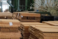 Nhà máy chế biến gỗ của SJF.