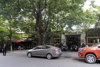 Nhà đất tại 39 đường Pasteur nằm ở trung tâm Đà Nẵng hiện là quán bida và cà phê. Ảnh: Nguyễn Đông.