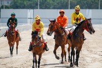 Trước Đà Nẵng, Bình Dương cũng đã có trường đua ngựa 100 triệu USD. Ảnh: Thành Nguyễn.