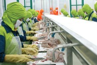 Chi phí đầu vào tăng nhẹ, doanh nghiệp chưa chịu áp lực tăng giá