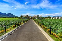 Tập đoàn Đầu tư Thăng Long (TIG) rót vốn vào Công ty Đầu tư tòa nhà công nghệ cao HDE