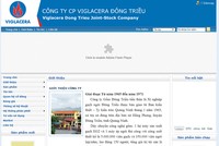 Viglacera Đông Triều đặt kế hoạch lãi trước thuế 20 tỷ đồng