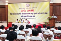 Hạn chế tín dụng đen và vai trò của công ty tài chính  