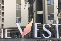 Hải Phát Invest (HPX) tăng 610 tỷ đồng vốn góp tại Bất động sản Hải Phát