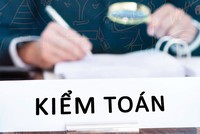 Khó kiểm toán doanh nghiệp dưới 50% vốn nhà nước