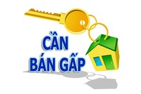 Các thông tin rao bán nhà được nhiều người quan tâm nhưng chủ yếu đến từ phía môi giới.