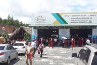 UBND Đồng Nai: Công ty Cổ phần địa ốc Alibaba rao bán đất nền không có thực trên đất