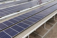 Nhà đầu tư Anh hào hứng với lĩnh vực năng lượng tái tạo 