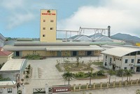 Dabaco Việt Nam (DBC) bị phạt vì vi phạm về thuế