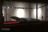 Mẫu vật Rùa Hồ Gươm được trưng bày tại đền Ngọc Sơn. (Ảnh: Đinh Thuận/TTXVN).