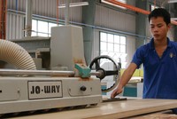 Xuất khẩu gỗ vào Mỹ: Rủi ro phát sinh sau cơ hội