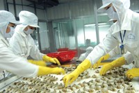 Tôm và cá tra là hai mặt hàng xuát khẩu chủ lực của ngành thủy sản Việt Nam.