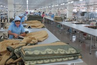 Everpia (EVE) đặt mục tiêu lãi 100 tỷ đồng