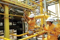 Hóa dầu Petrolimex (PLC): Kế hoạch tăng trưởng nhẹ cho năm 2019