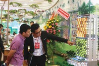 Khách hàng tìm hiểu thông tin dự án Ariyana Nha Trang.