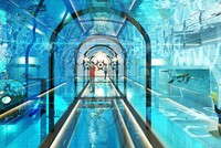 Deepspot sẽ trở thành bể bơi sâu nhất thế giới khi hoàn thành và đi vào hoạt động. Ảnh: Deepspot.