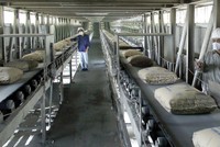 2019, nhu cầu xi măng dự báo tăng 6-8%, hứa hẹn giúp doanh nghiệp ngành này gia tăng lợi nhuận.