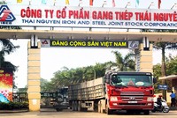 TISCO đang rơi vào thế khó khăn cân đối dòng tiền, tài chính. Ảnh: TISCO.