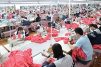 Trên hệ thống dữ liệu của BHXH có chức năng tự động cảnh báo các doanh nghiệp nợ quá 3 tháng mà chưa được thanh tra.