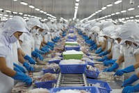 Vĩnh Hoàn (VHC) lãi hơn 307 tỷ đồng trong quý I