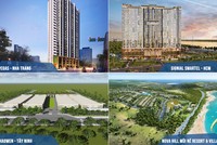 Ricons ký mới nhiều hợp đồng triển khai các dự án có quy mô trong Quý 2/2019.