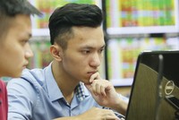 Biến động không ngừng ở khối công ty chứng khoán