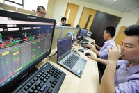 Nhà đầu tư lớn âm thầm đi ngược đám đông