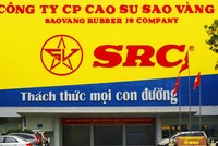 Thoái vốn Cao su Sao Vàng (SRC): Sức hút của “đất vàng”