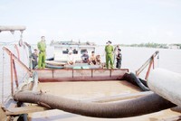 TP.HCM chi 165 tỷ đồng chống 'cát tặc'