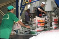 Giá gạo xuất khẩu trung bình 5 tháng đầu năm khoảng 427,5 USD/tấn, giảm khoảng 76,8 USD/tấn so với cùng kỳ năm 2018.