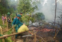 Nhà chức trách dập lửa tại đám cháy rừng ở huyện Lộc Hà. Ảnh: Đ.H.