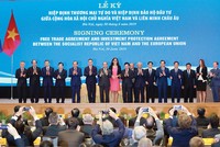 Đường dài với sóng EVFTA