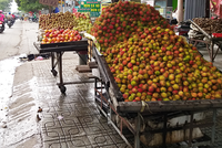 Chôm chôm được bán với giá rẻ ở lề đường Sài Gòn. Ảnh: Hồng Châu.