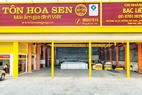 Hoa Sen sau tái cơ cấu, lợi nhuận tăng mạnh 