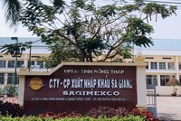 Vì sao thoái vốn nhà nước tại Sa Giang thất bại?