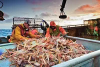 Hải sản vùng Alaska. Ảnh: Chris Miller.