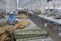 EVE: Lợi nhuận hợp nhất 6 tháng đầu năm lao dốc