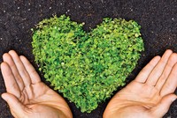 Liệu có cần hiệp hội phụ trợ bảo hiểm?