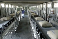 6 tháng, Xi măng Quán Triều đạt 75% kế hoạch lợi nhuận năm