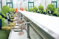 Thương chiến Mỹ - Trung: Khó khăn đã ngấm tới doanh nghiệp nội