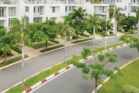 Bất động sản trưởng thành, nhìn từ sự đột phá