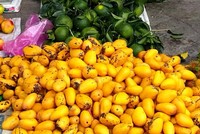 Mỗi đêm xoài mini Trung Quốc về chợ đầu mối hơn 100 tấn. Ảnh: Thi Hà.