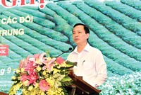 Phó Thống đốc NHNN Đào Minh Tú phát biểu chỉ đạo tại Hội nghị.