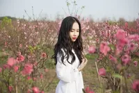 Cô gái Hà Nội chụp hình ở vườn đào Nhật Tân dịp Tết 2019. Ảnh: Tài Hoàng.