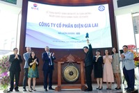 Điện Gia Lai (GEC): Công ty đa dạng năng lượng tái tạo duy nhất niêm yết trên HOSE