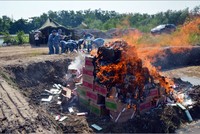 Lực lượng chức năng tiến hành tiêu hủy số thuốc lá ngoại nhập lậu theo đúng quy định, bảo đảm an toàn, vệ sinh môi trường.