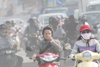 Gần nửa triệu một hộp khẩu trang giấy, dân Hà Nội “cắn răng” mua về chống bụi mịn