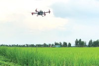 Lộc Trời thay đổi cho cuộc chơi dài hạn