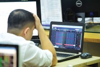 Nhà đầu tư dò đường săn hàng thoái vốn