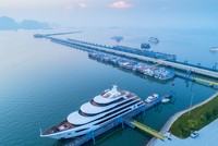 Quảng Ninh: Đường lớn đã mở